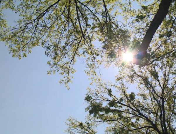 Napsütéses szombattal kezdődik a hosszú hétvége              