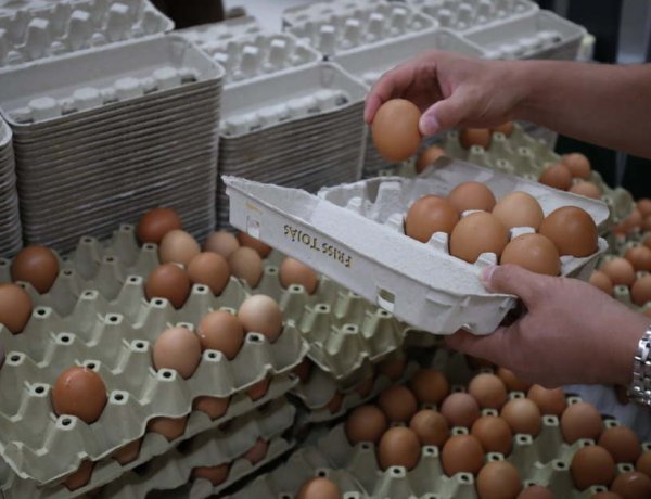 Több százmilliárd forintos források révén fejlődhetnek az állattartó telepek