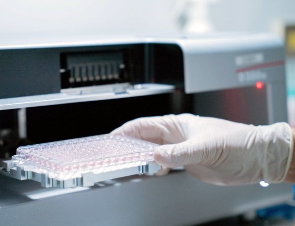 Alapjaiban változtatná meg a vakcinagyártást Kis Zoltán találmánya