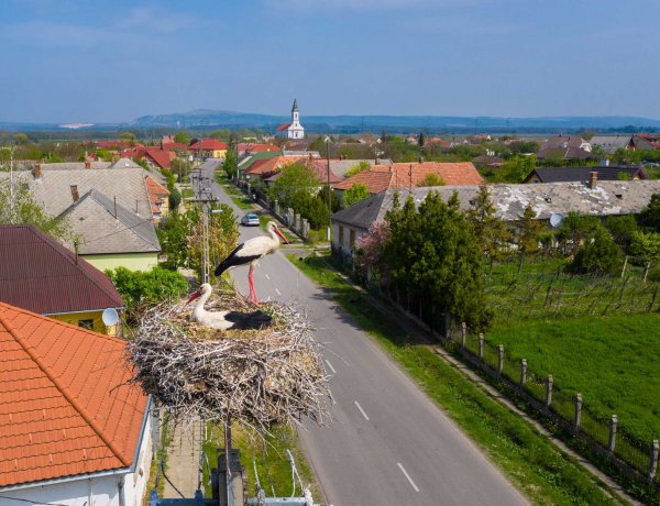 Csaknem 4500 fészektartóval várja az E.ON a gólyákat                  