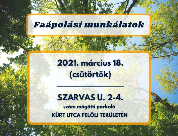 A Szarvas utcán végeznek csütörtökön faápolási munkákat a NYÍRVV szakemberei