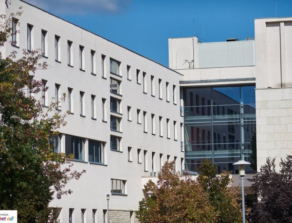 Online tudomány – Tanítás, lélektan és pedagógia az OTDK-n              