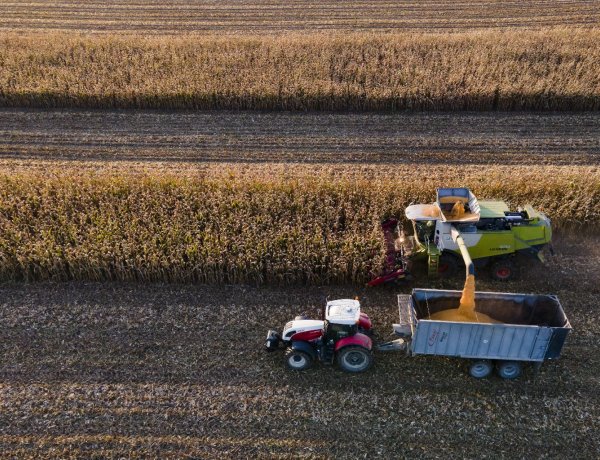 A gazdaság gyors újraindítását biztosítják a kormány sokoldalú intézkedései