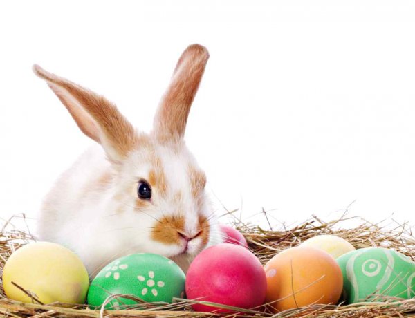 Játsszon Ön is a Móricz Zsigmond Kulturális Egyesülettel! – Húsvéti online totó 