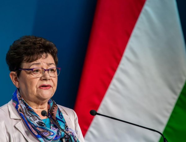 Országos tisztifőorvos: két új vakcina lesz elérhető Magyarországon
