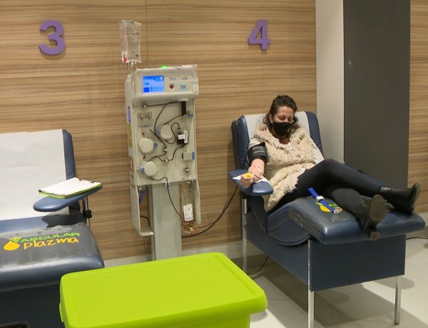 Hiánycikk a vérplazma – Donáció és életmentés                      