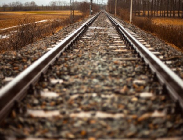 Nagy méretű akácfa dőlt Nyíregyháza-Sóstógyógyfürdőnél a vasúti pályára