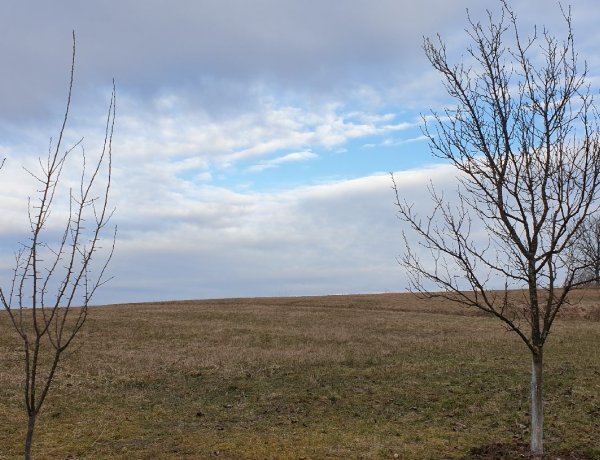 Felhők mögé bújik a nap az ország legnagyobb részén                 