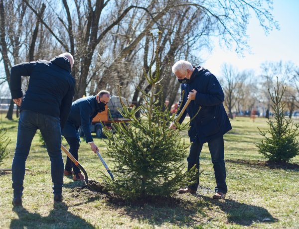 Ültess egy karácsonyfát! – Együtt egy még zöldebb Nyíregyházáért!