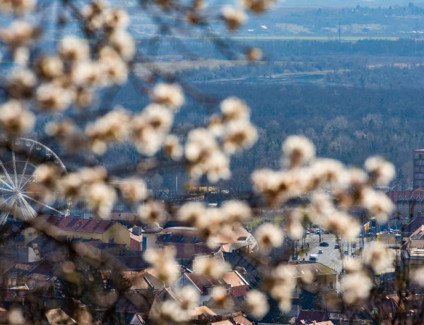 Lassan, de érkezik a várva várt igazi tavasz                     