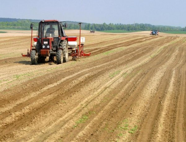 Rekordösszegű kárenyhítő juttatást kapnak a gazdák              