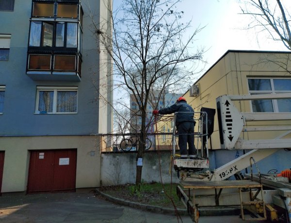 Orvosi rendelőre hajlott ágakat vágtak le a NYÍRVV szakemberei a Toldi utcán