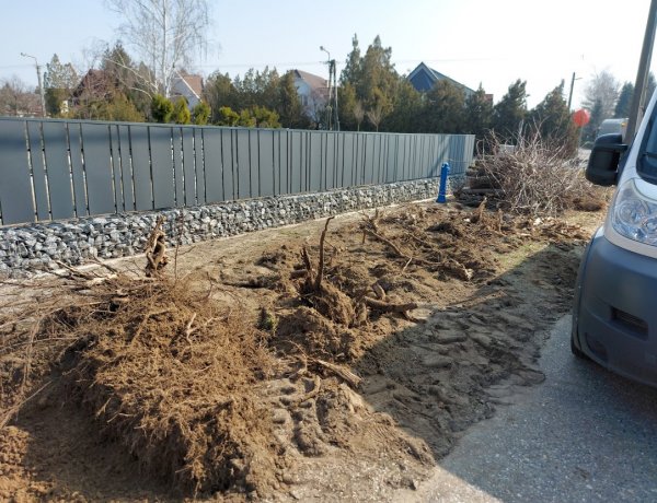 Illegális favágást végeztek a Jósika Miklós utcán           