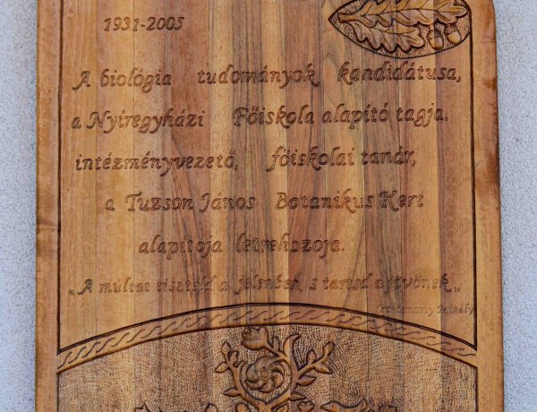 Amiről az utcák mesélnek... - Dr. Pál Miklós emlékére