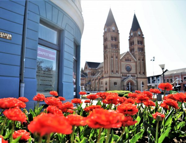 Nagyheti, húsvéti püspöki szentmisék a székesegyházban és a társszékesegyházban