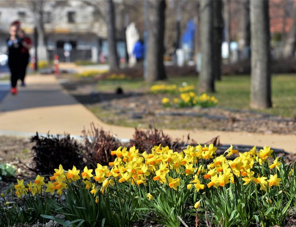 Tavaszi pillanatképek Nyíregyházáról! Még sok ilyen hétvégét szeretnénk!