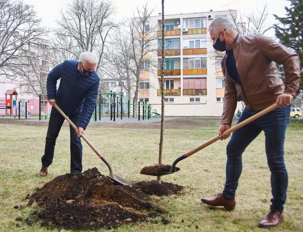 Megépült kilenc új szabadtéri sportpark és folytatódik a nagyszabású fásítási program