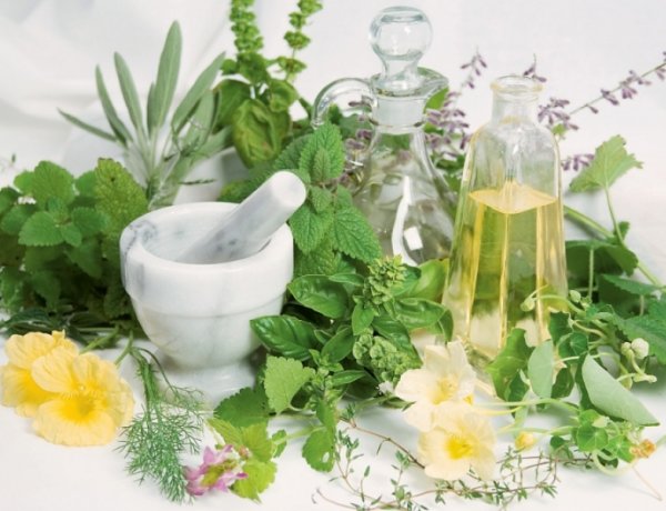 Mindent a gyógynövényekről II. - Megkérdezem a gyógyszerészem...