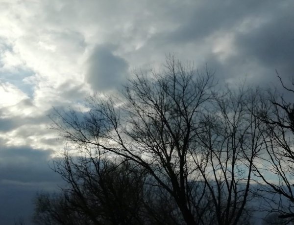 Veszélyjelzést adtak ki péntekre záporok miatt                                   