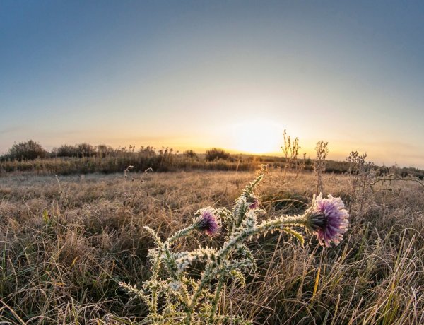Visszatérnek a hajnali fagyok                                                     