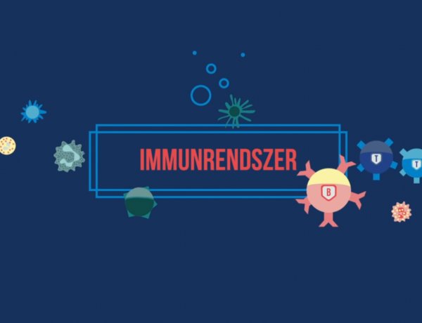 Ebből a videóból mindent megtudhat az immunrendszerről      