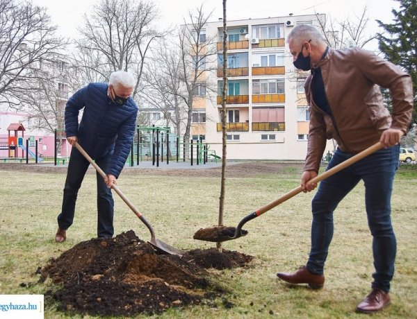 A 25. a 27-ből: kondipark született a Stadion utcán is      