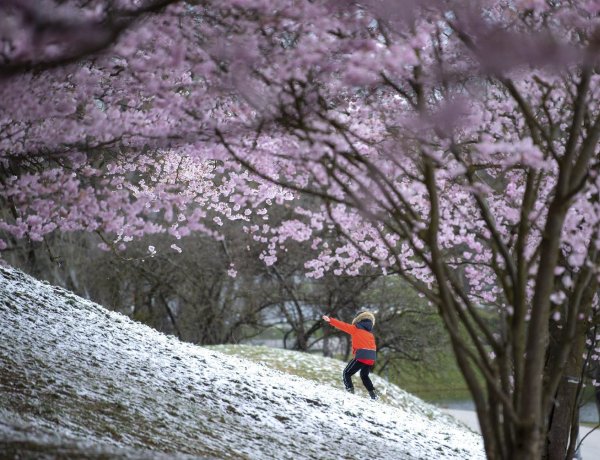 Bolondos április: napsütés, zápor és hózápor is lehet                       