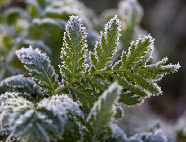 Hózápor is lehet ma, ismét viharossá válik a szél                   