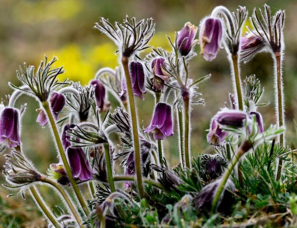 Országos Meteorológiai Szolgálat: lassan visszavonulót fúj a hideg
