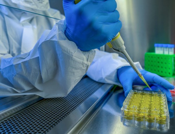 Operatív törzs: hamarosan már hatféle vakcinával lehet oltani