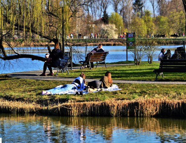 Ez már tényleg tavasz! Gyönyörű képeken  a virágos Nyíregyháza!