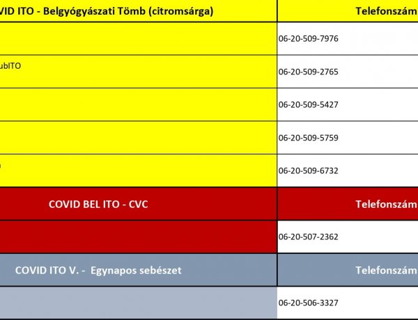 Így érdeklődhetnek a nyíregyházi kórház Covid-intenzív részlegein ápolt hozzátartozóikról