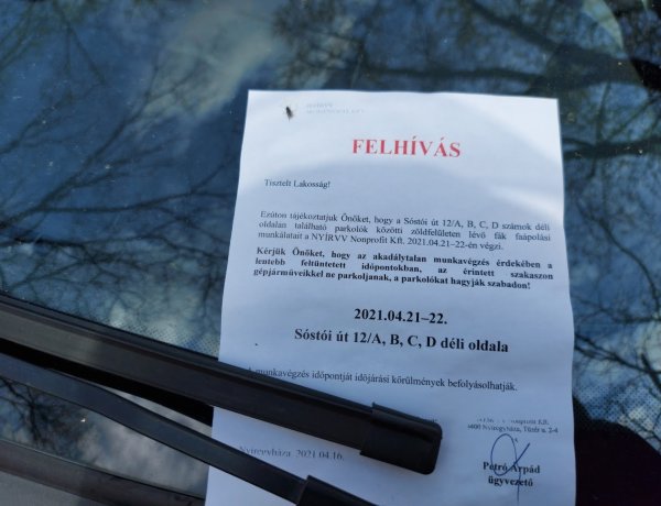 Szerda reggel favágási munkálatokat végeznek a NYÍRVV szakemberei a Sóstói úton 