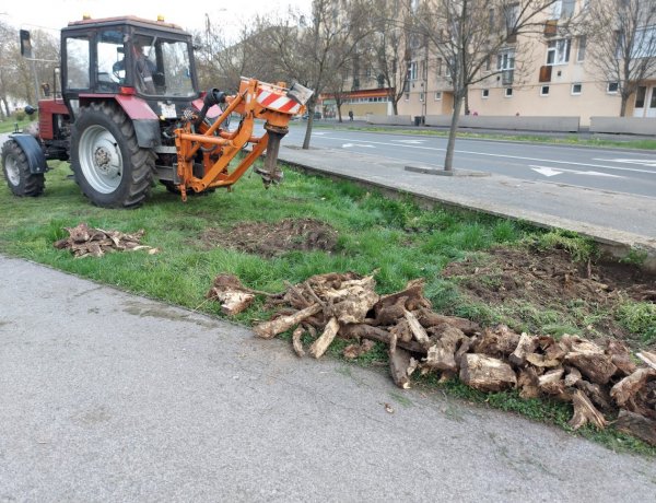 Tuskózási munkálatokat végeznek a Petőfi téren                    