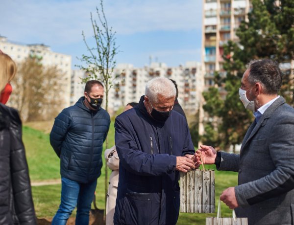 Faültetés – 30 díszfát ültettek el a jósavárosi Robinson dombon