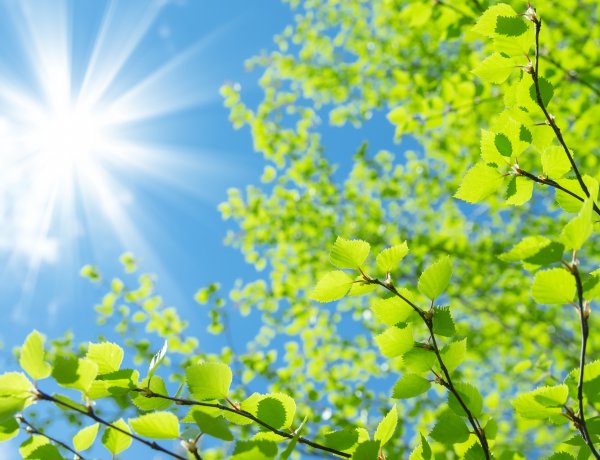 Országos Meteorológiai Szolgálat: ma már visszakacsint a tavasz