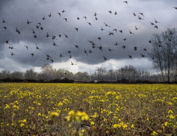 Zivatarral és jégesővel vonul át az országon egy hidegfront       