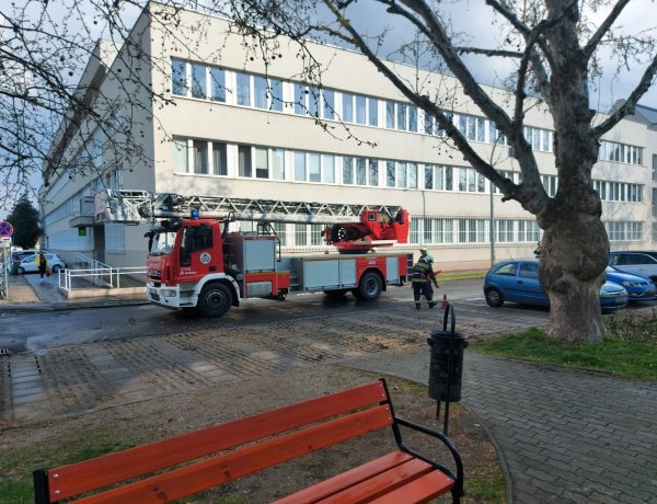 Veszélyes faágat távolítottak el a tűzoltók a Szabadság téren             