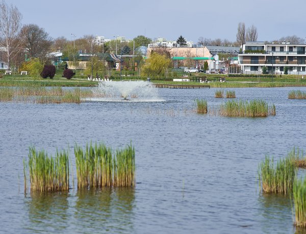 Újra működik a szökőkút a Bujtosi-tavon – A vízi látványosság szinte minden órában csobog