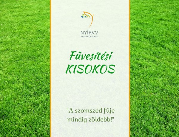 Füvesítési kisokos – Tuti tippekkel segít a NYÍRVV, hogy még zöldebb legyen környezetünk!