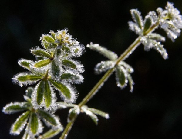  Országos Meteorológiai Szolgálat: hatvan éves hidegrekord dőlt meg