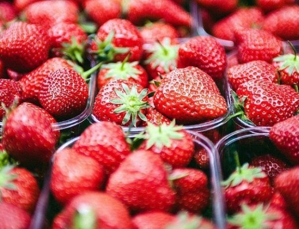 Indul a szezon: aranyárban mérik idén a szamócát országszerte!