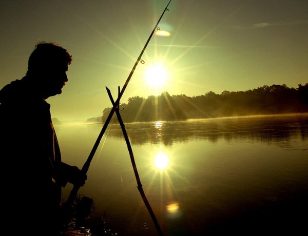 MOHOSZ: május elsejétől újra engedélyezett az éjszakai horgászat