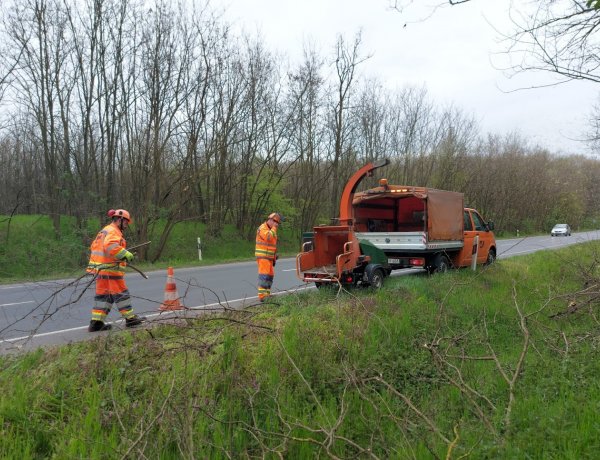 Favágási munkálatokat végeznek a Magyar Közút szakemberei a Sóstói és a Kemecsei úton