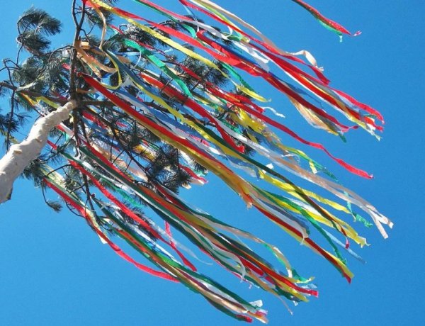 A magyar népi hagyomány szerint ma éjszaka kell májusfát állítani! 