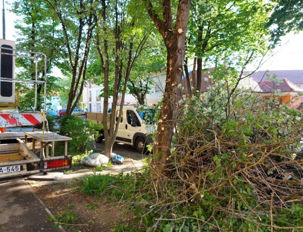 Gallyazási munkákat végeztek a NYÍRVV szakemberei az Ady Endre utcán