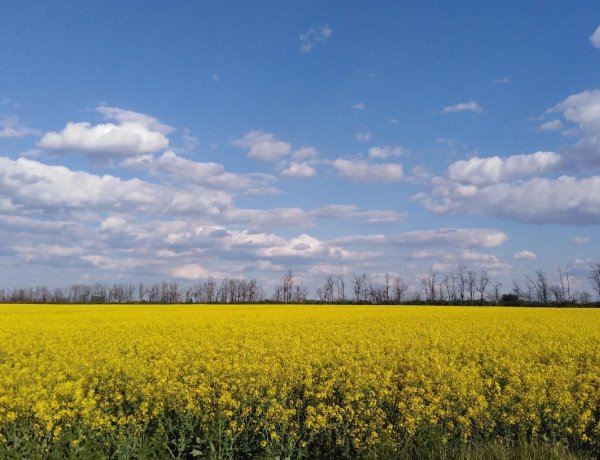 Országos Meteorológiai Szolgálat: ma belekóstolhatunk a nyárba                            