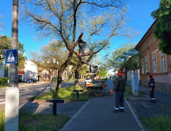 Gallyazási munkálatokat végeznek a NYÍRVV munkatársai a hét elején