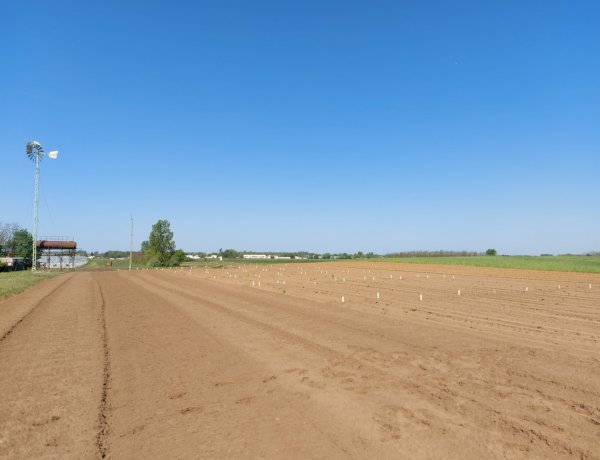 Lezuhant egy ejtőernyős a Kótaji úton, súlyos medencetörést szenvedett