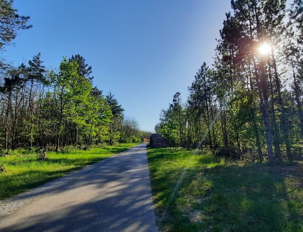 Országos Meteorológiai Szolgálat: igazi nyári napsütésben lesz ma részünk